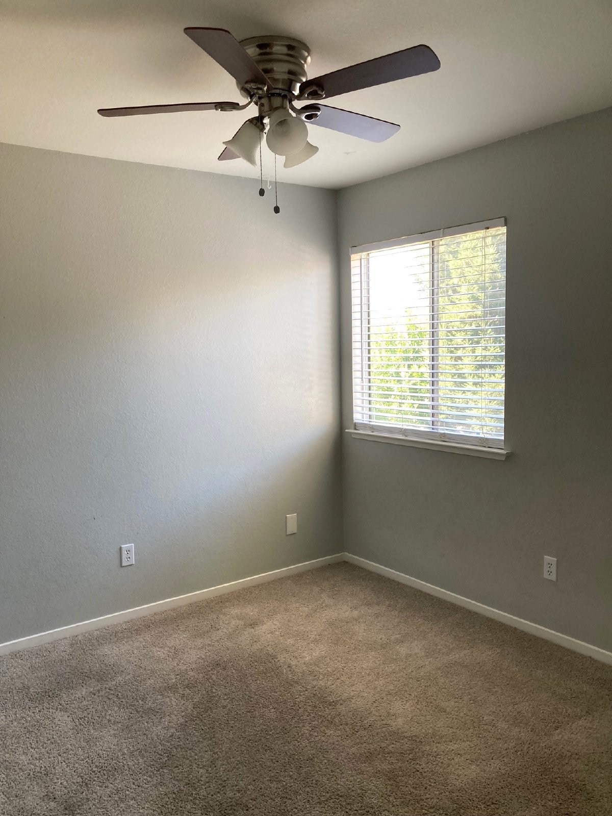 https://youtu.be/tNDCt4W5SGQ property image