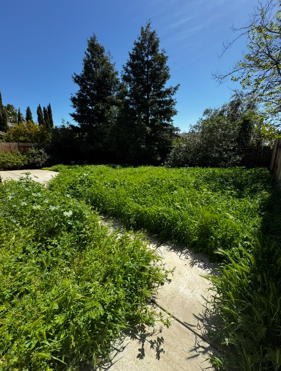 https://youtu.be/Tz6ytZqXNz4?si=fKJs8n_pKmTx6OMS property image