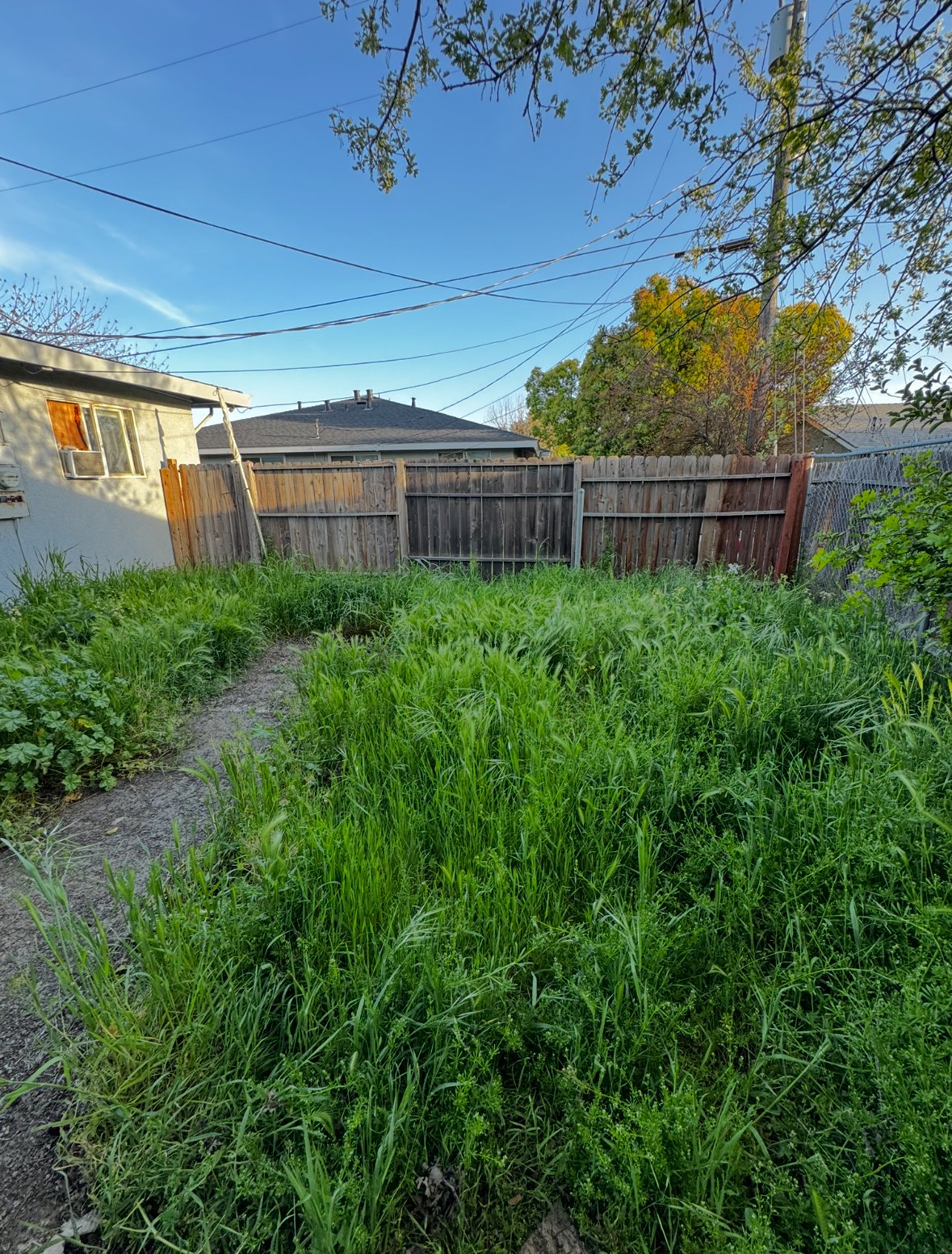 https://youtube.com/shorts/OoCwevTb-1s?si=vyCI_2JSeMYnbMB4 property image