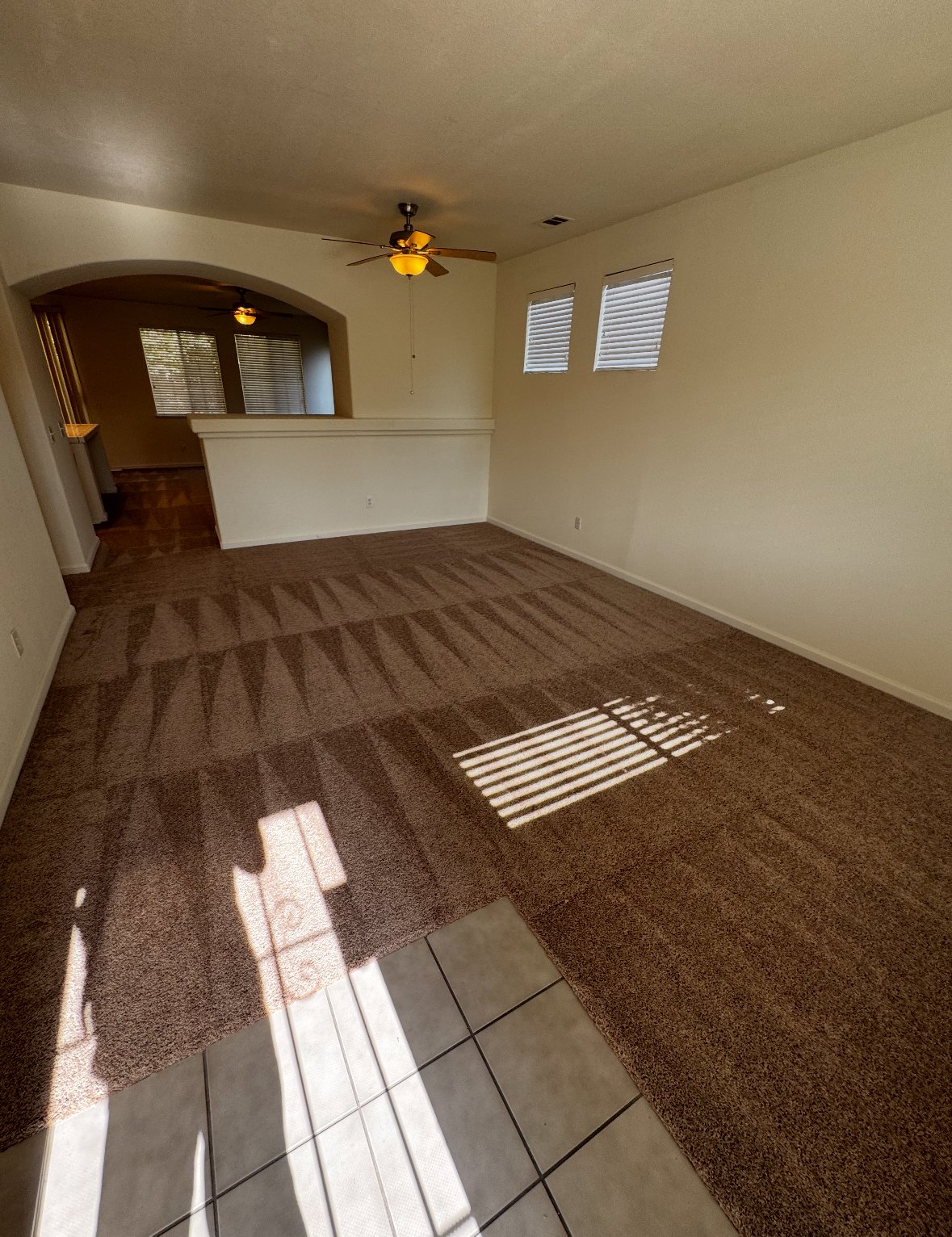 4230 Zeally Lane property image