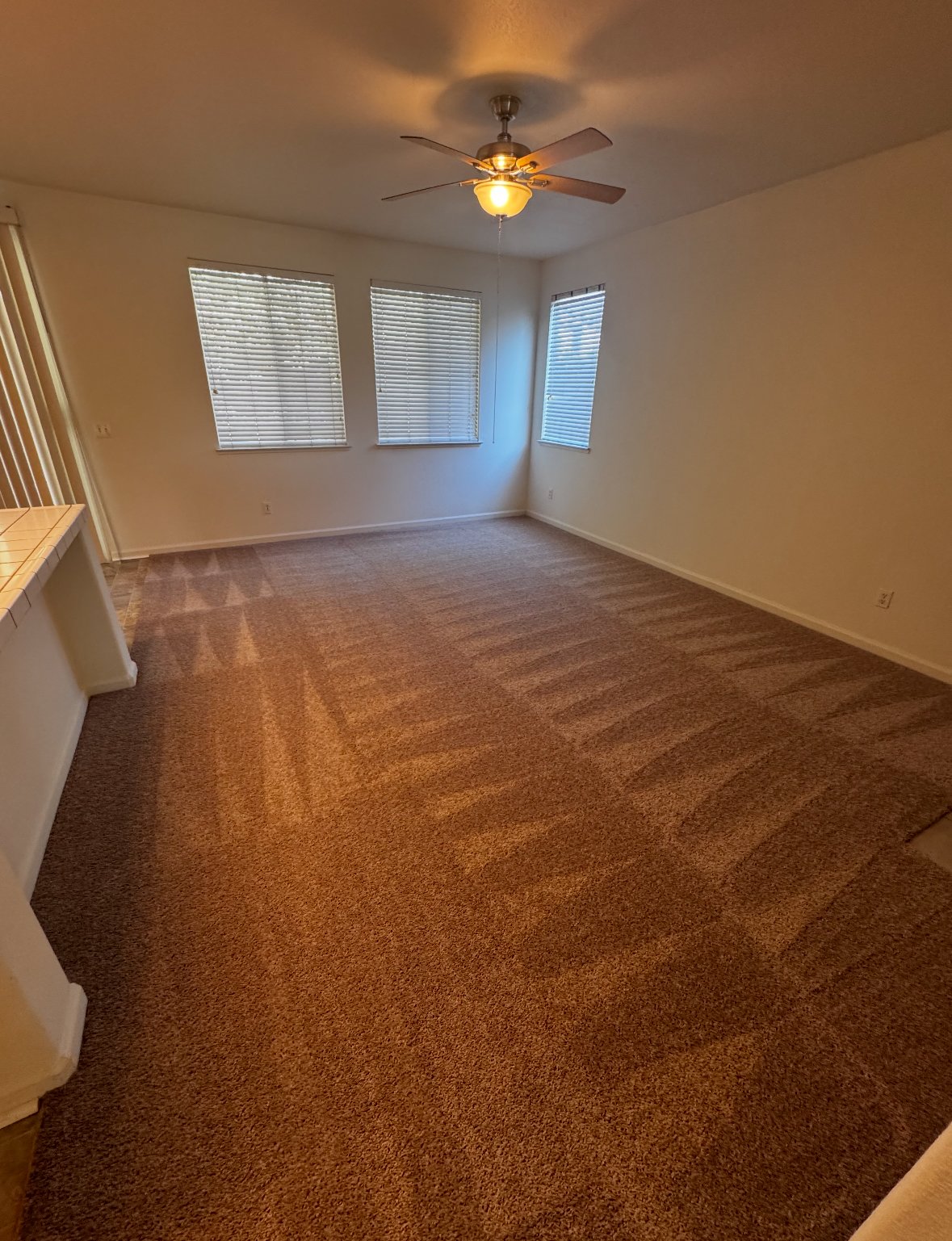 4230 Zeally Lane property image