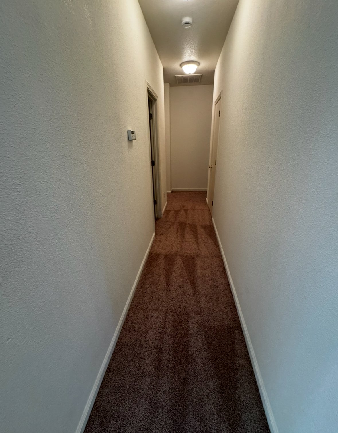4230 Zeally Lane property image