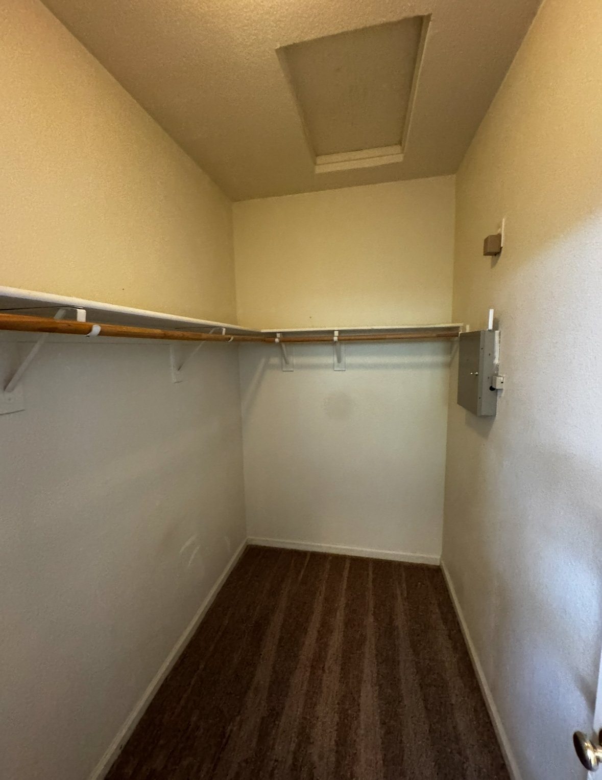 4230 Zeally Lane property image