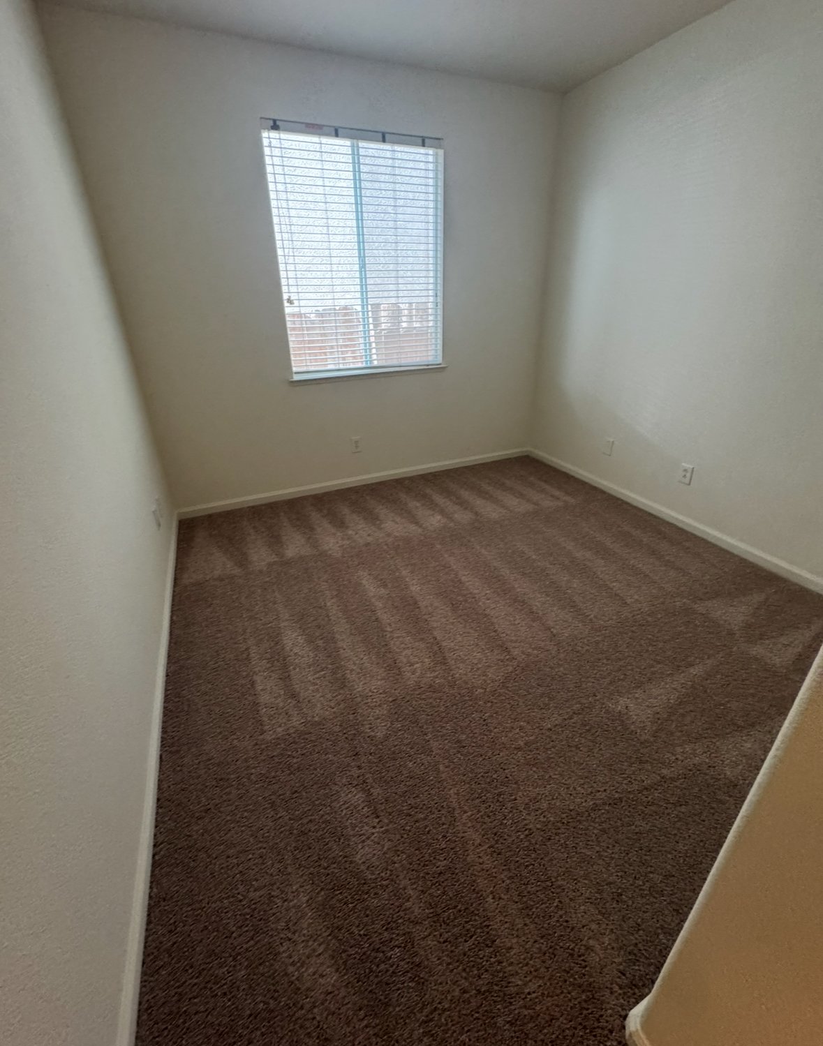 4230 Zeally Lane property image