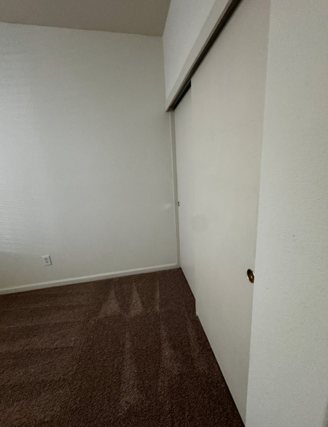 4230 Zeally Lane property image