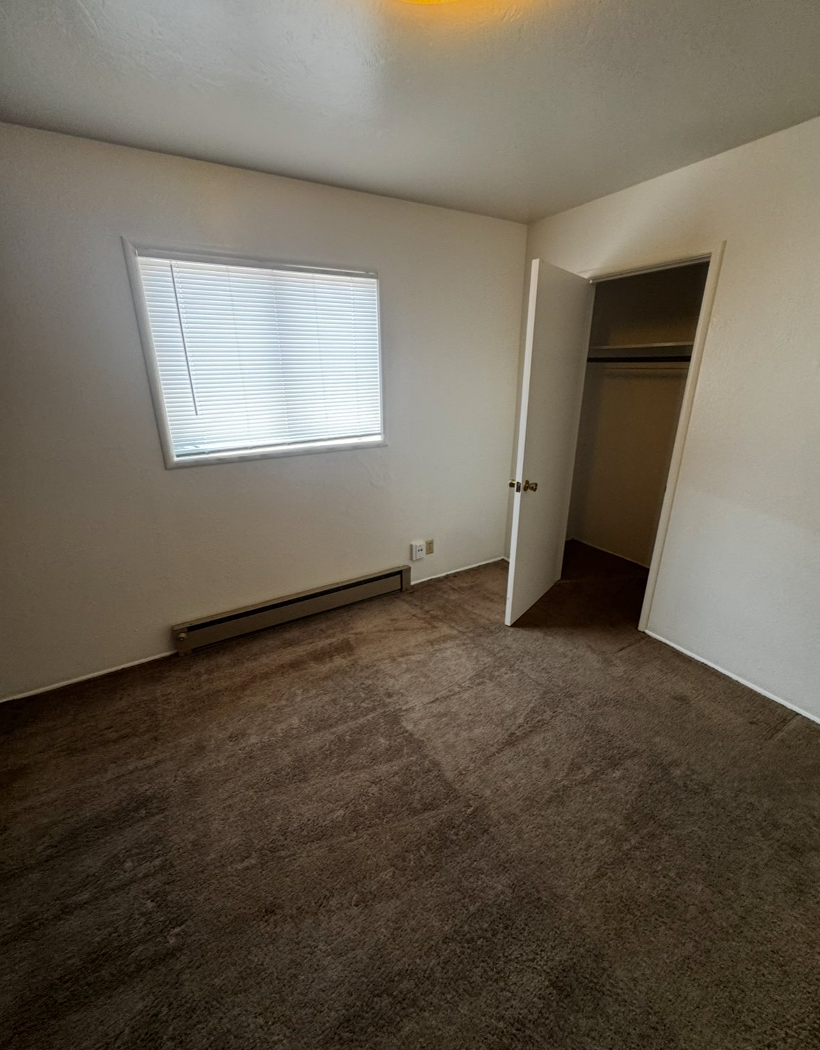 1564 Telegraph Avenue property image