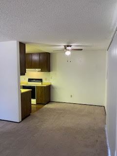 https://youtube.com/shorts/gJo0DC1hKpo?feature=shared property image