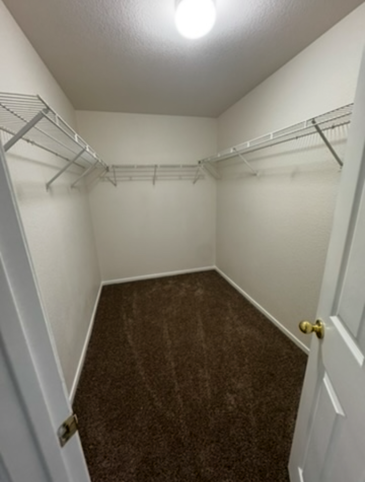https://youtu.be/vx0WWlk8SWo property image