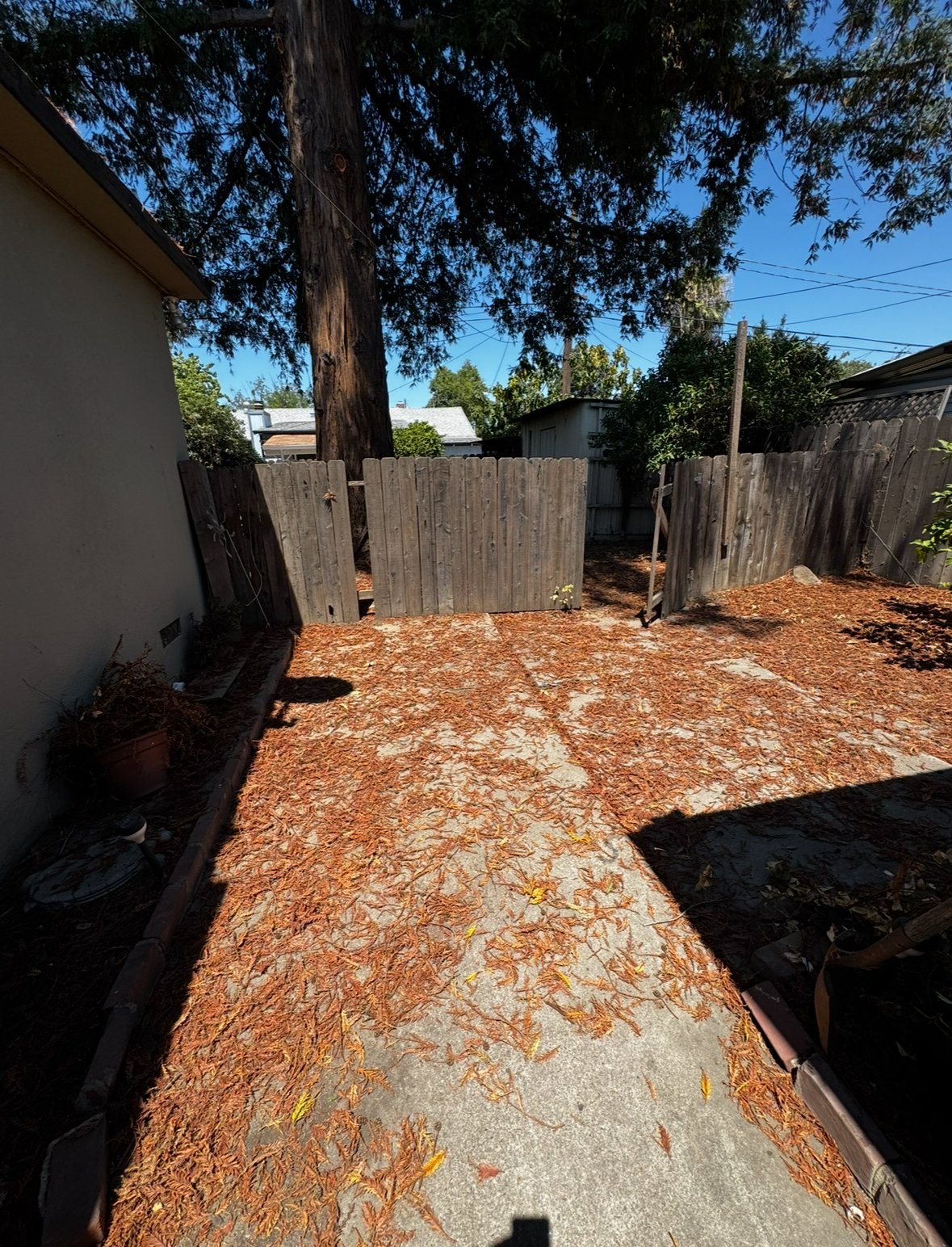 https://youtube.com/shorts/gkR0FFOVnpY?si=iLsjOuSlFhF1sMMs property image