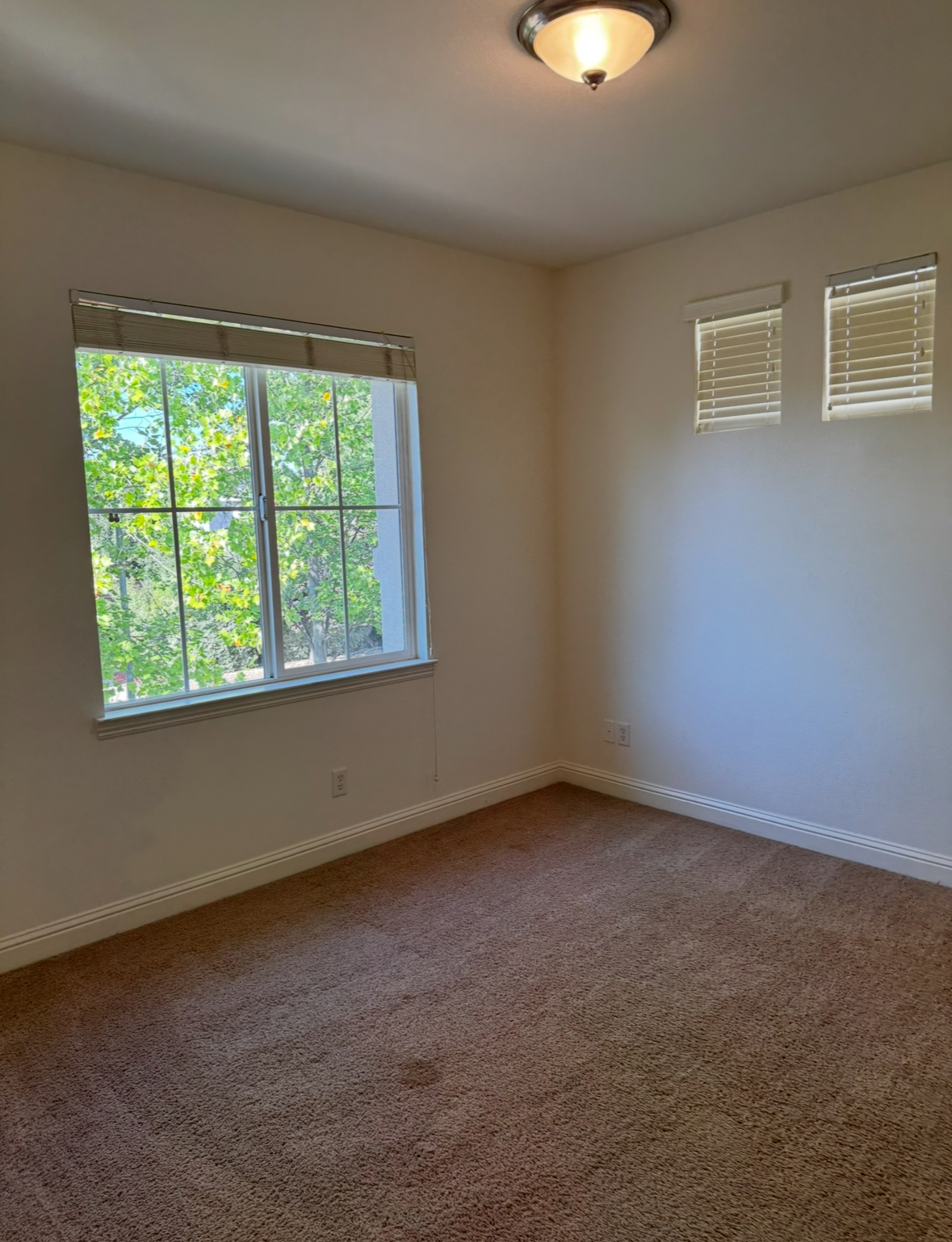 11832 Spring Walk Way property image