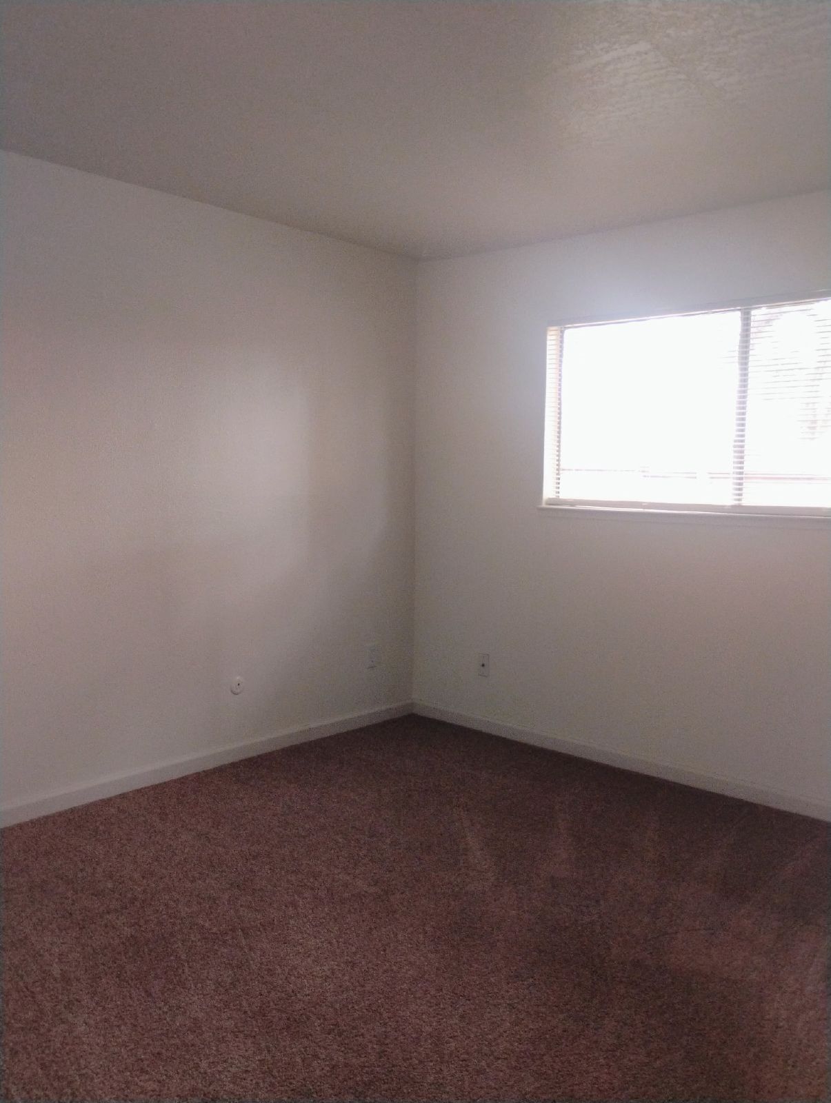 924 Princess Drive property image