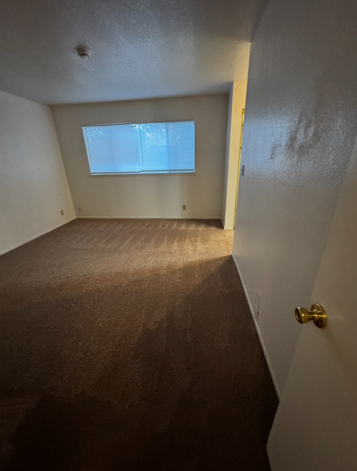 5832 Brush Creek Drive property image