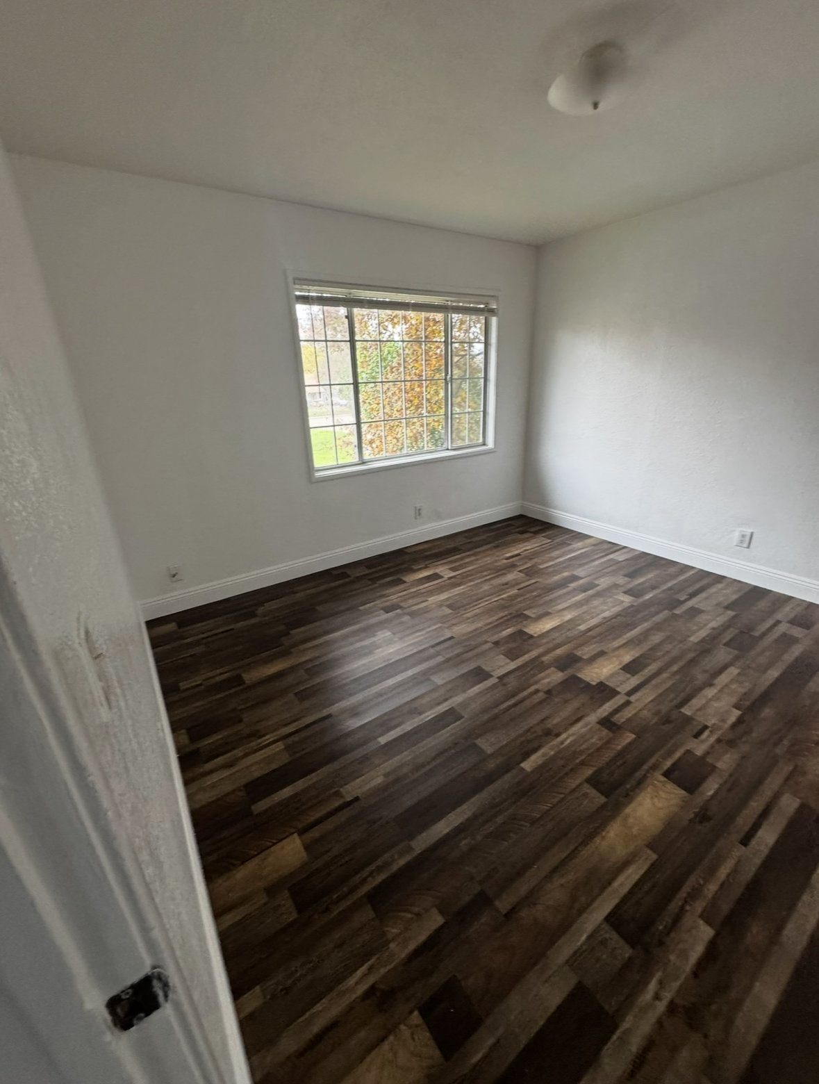 3122 Callecita St Apt 4 property image