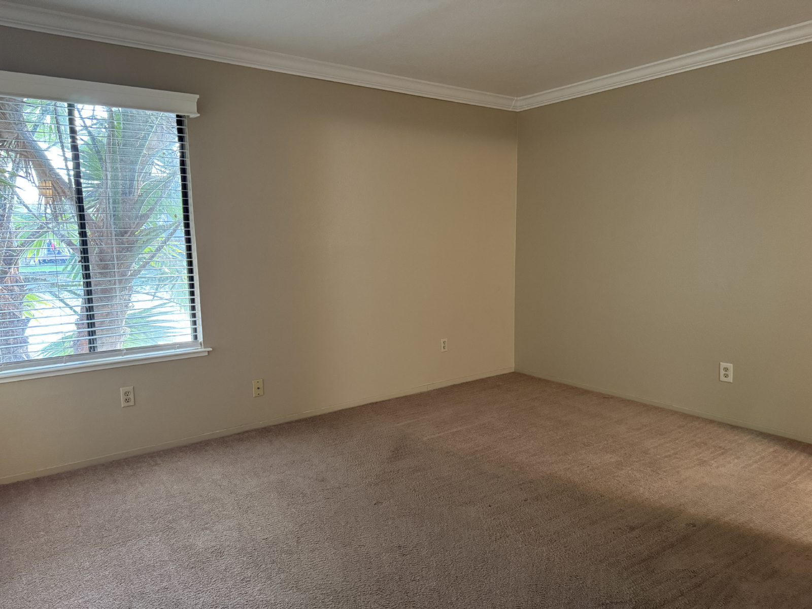 6536 Embarcadero #7 property image