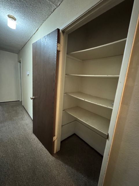 8202 Burgundy Drive property image