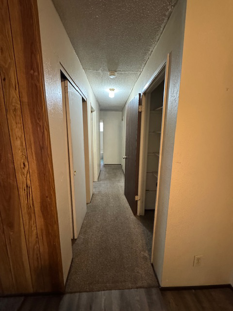 8202 Burgundy Drive property image