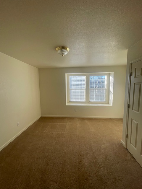 10822 Arrowood Drive property image