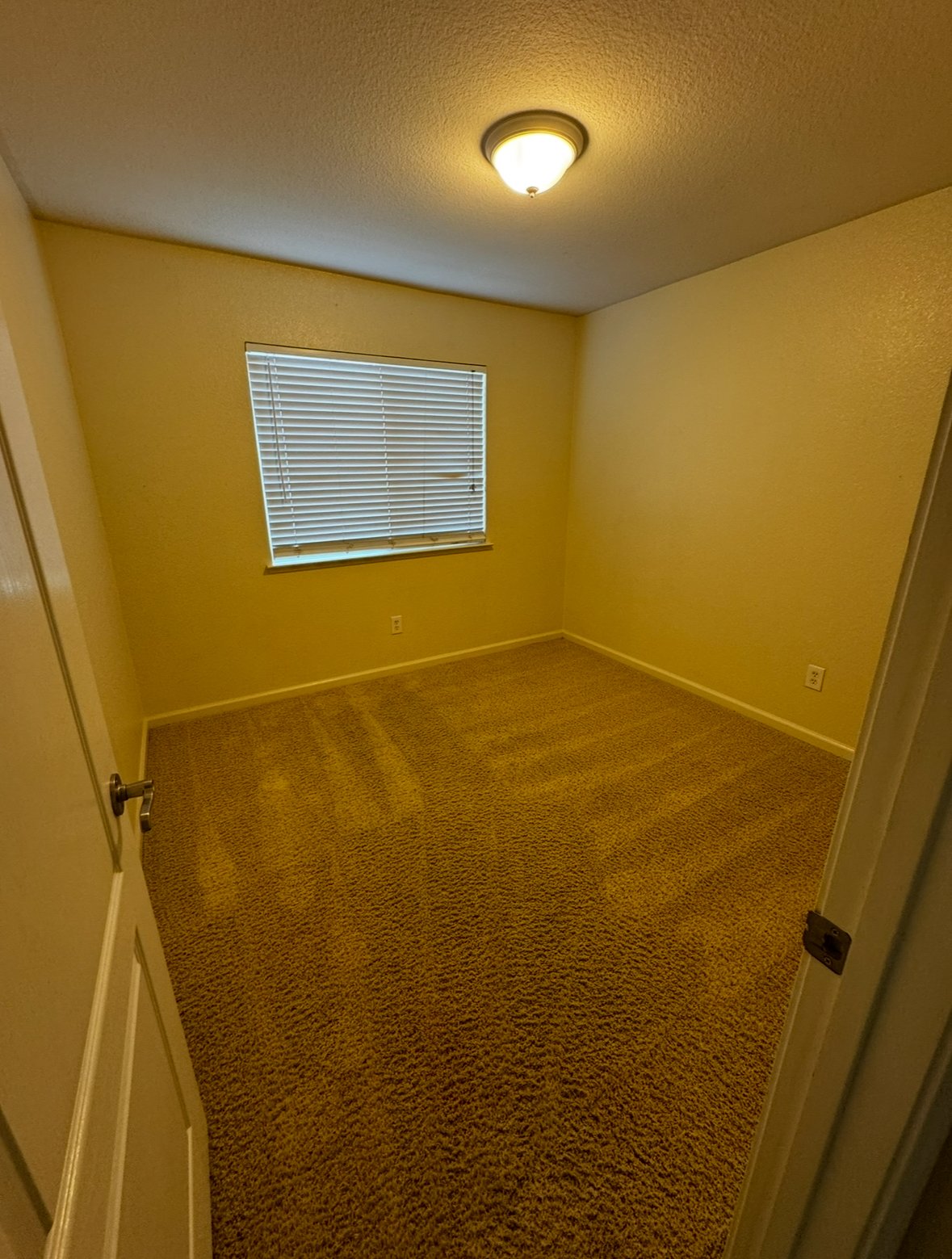 3002 English Oak Circle property image