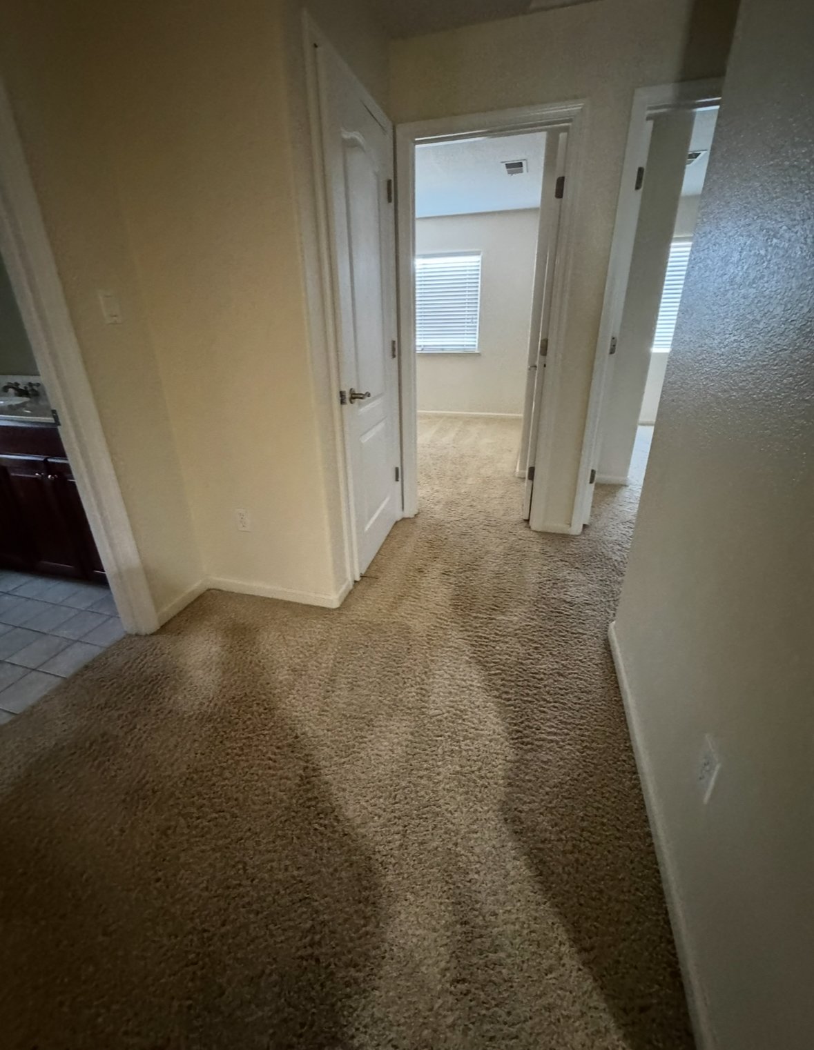 3002 English Oak Circle property image