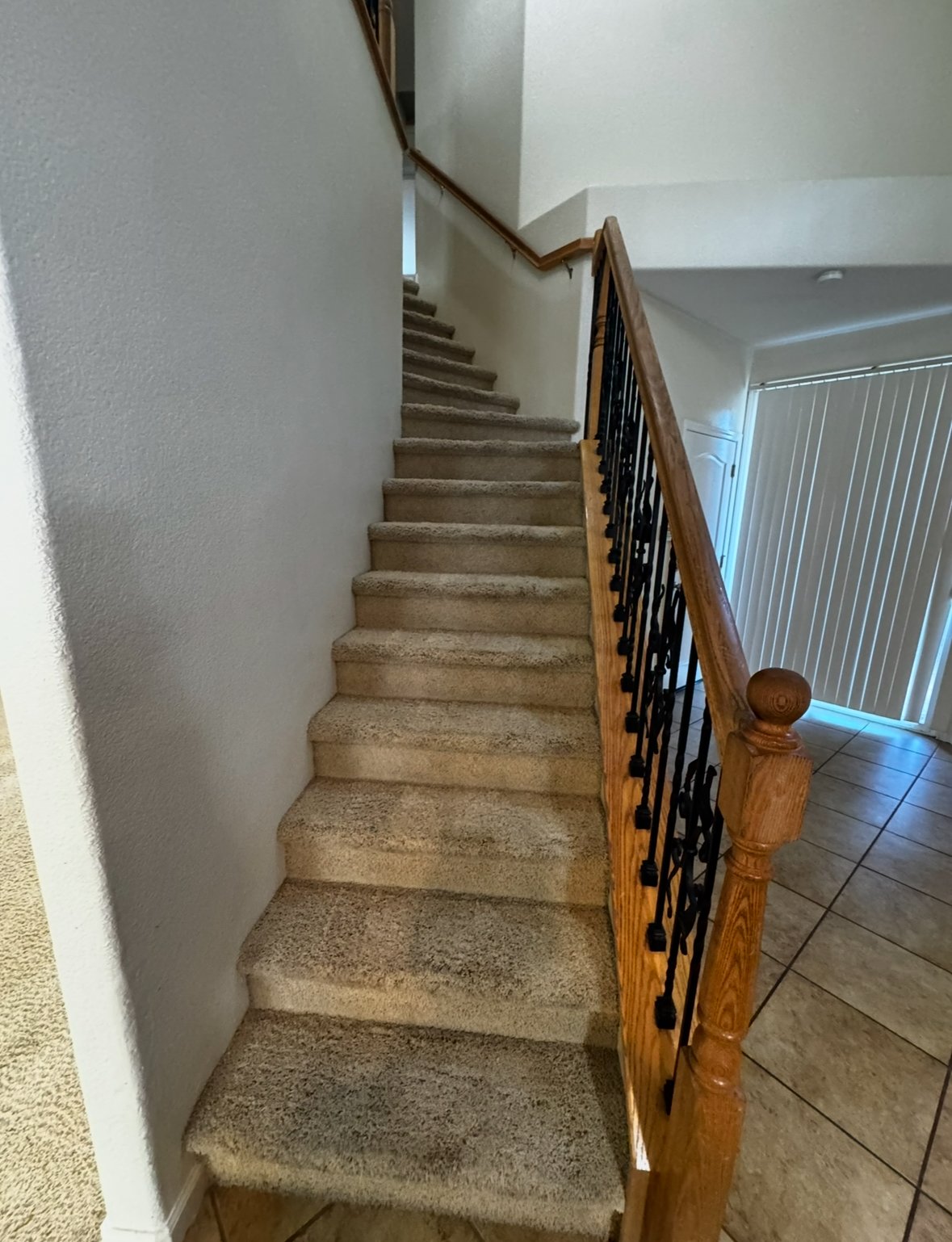 3002 English Oak Circle property image