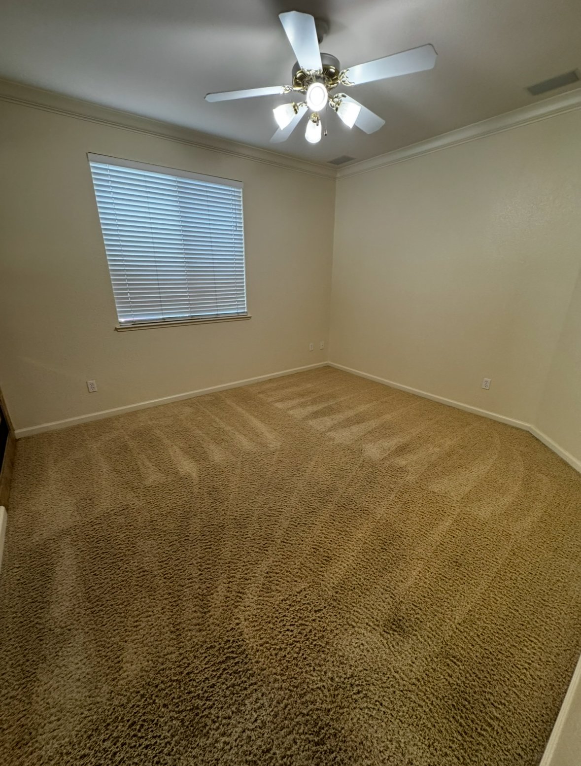 3002 English Oak Circle property image