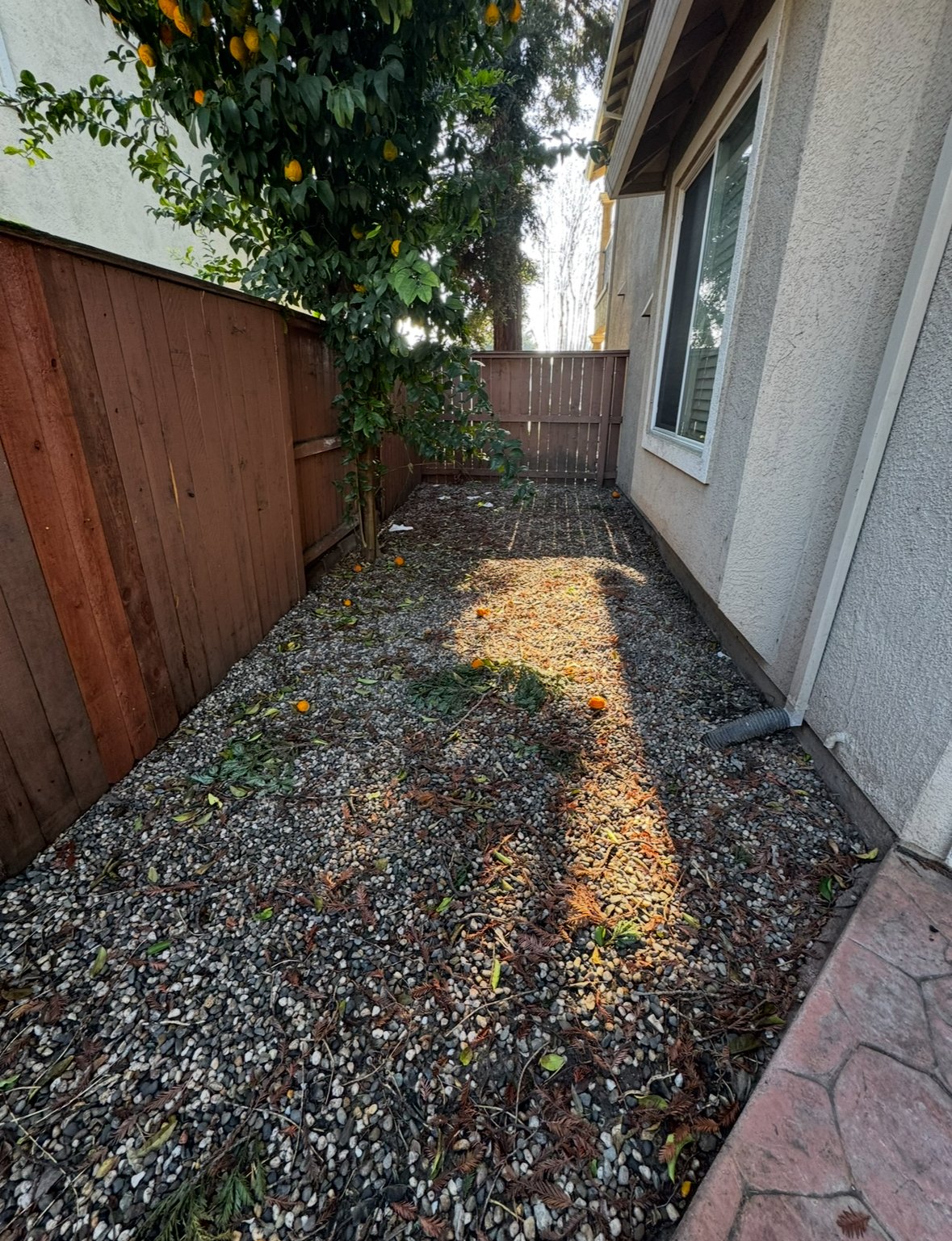 3002 English Oak Circle property image