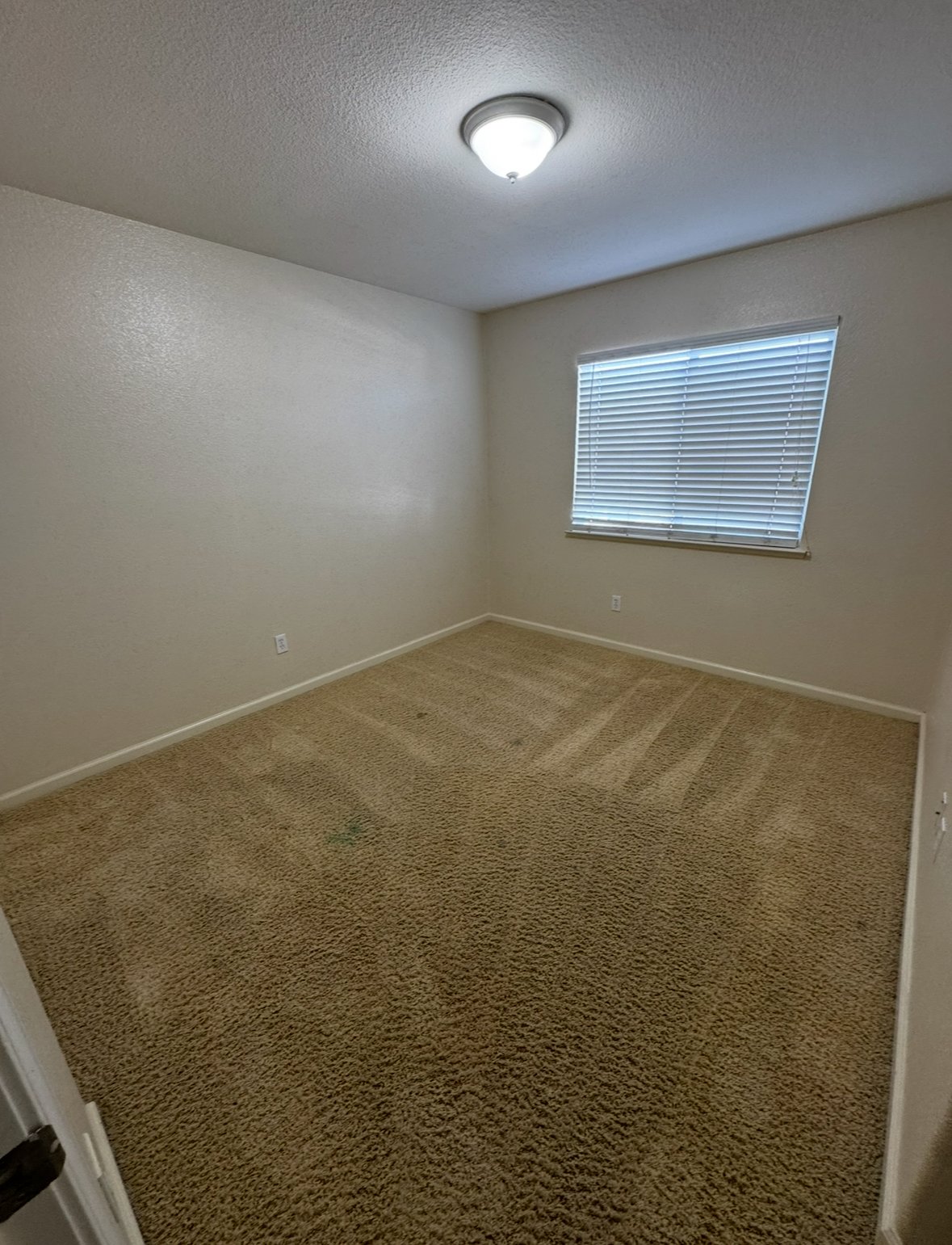 3002 English Oak Circle property image