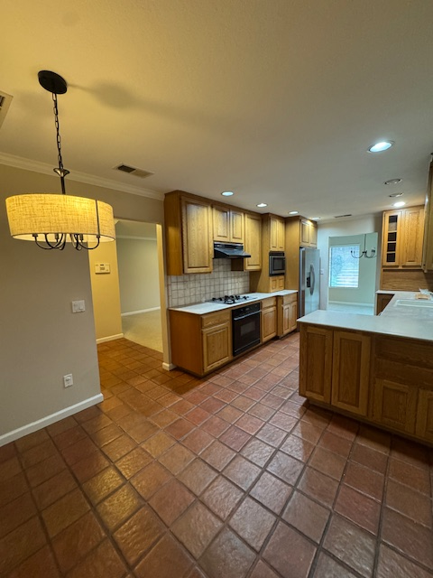 4576 Windy property image