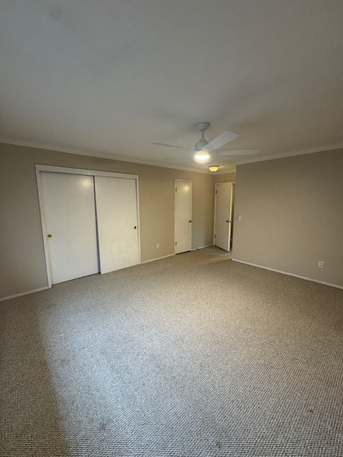 4576 Windy property image