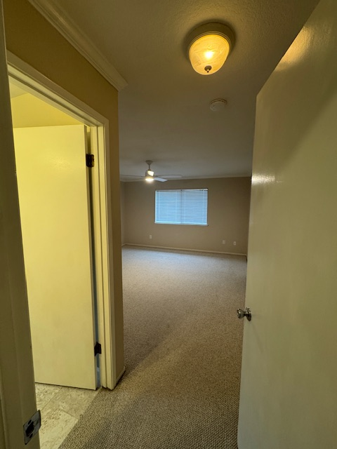 4576 Windy property image