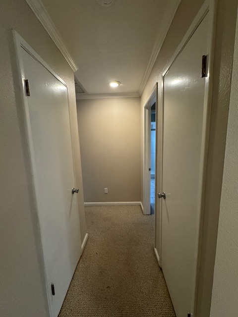 4576 Windy property image