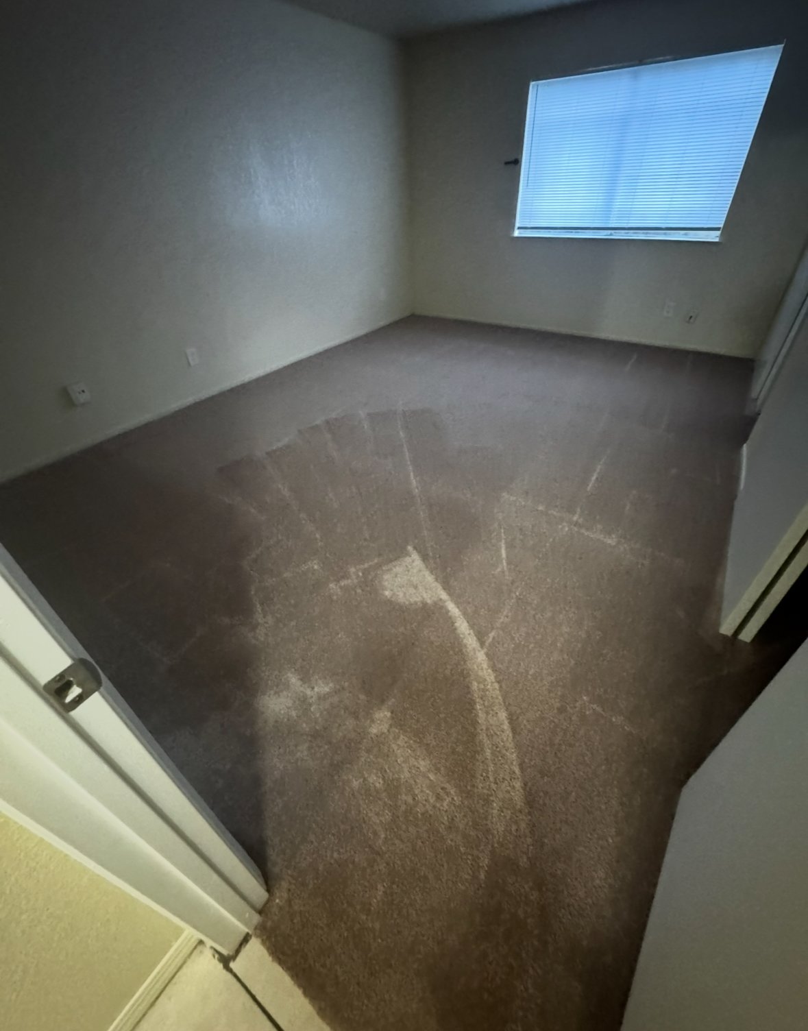 9242 Darby Ct property image