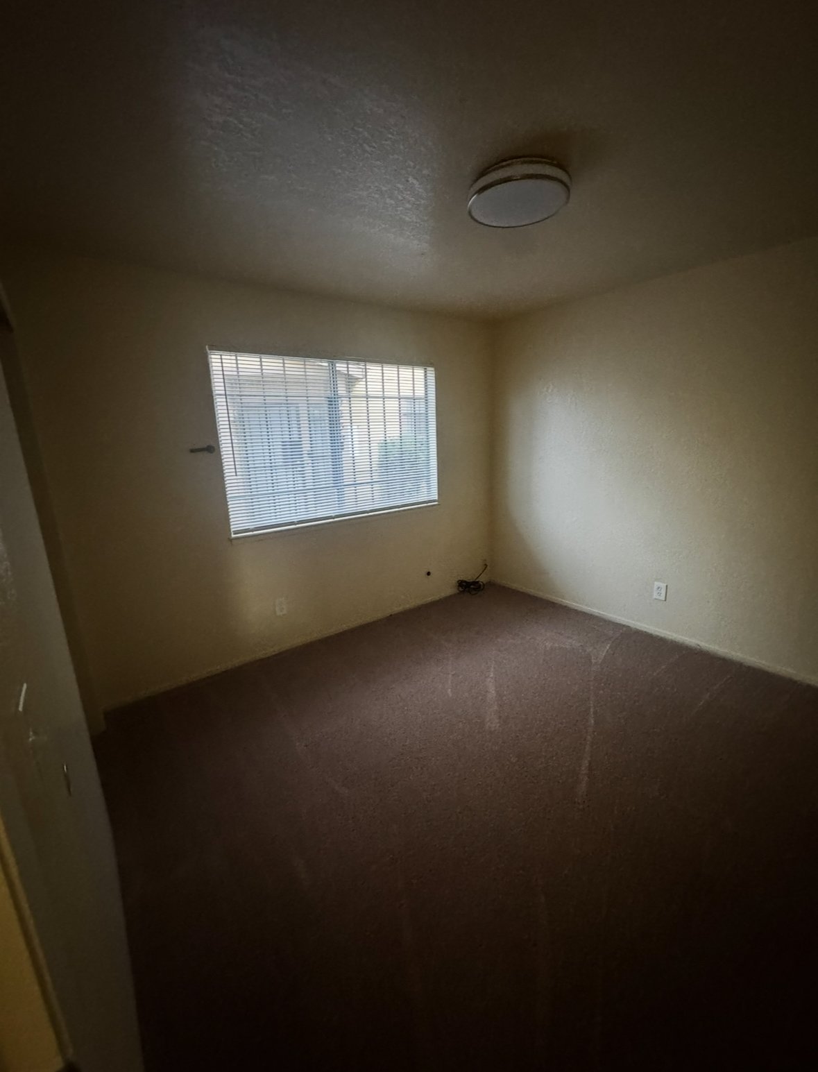 9242 Darby Ct property image