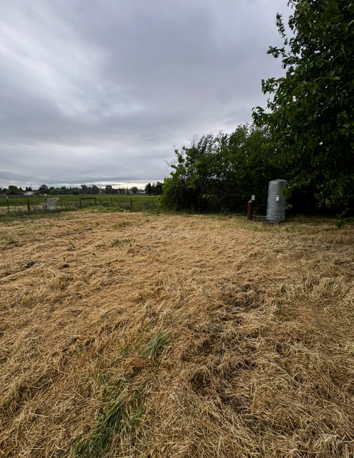 9596 Rogers Rd Sacramento Ca property image