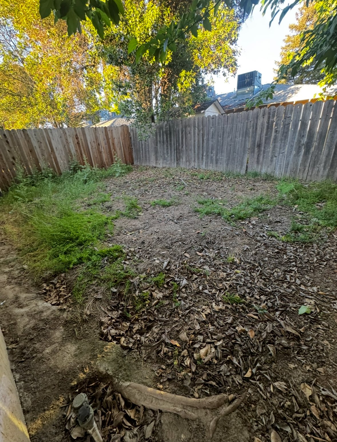 Unit 1 property image