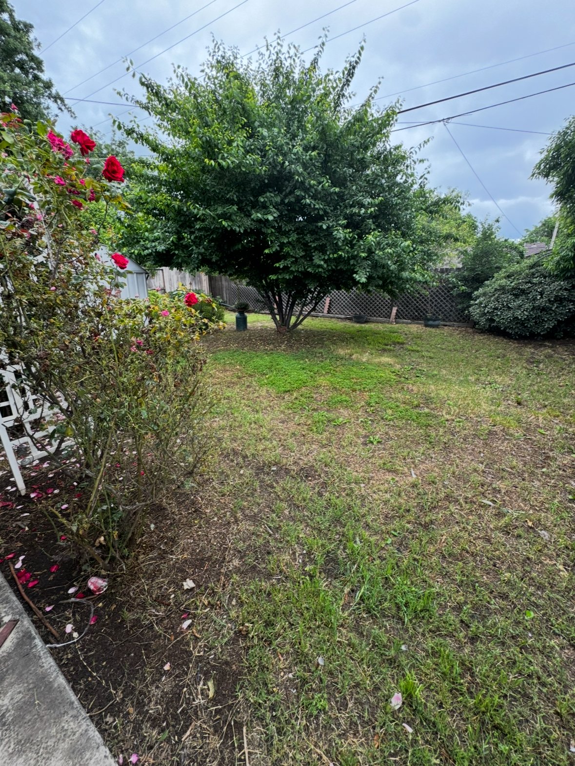 1848 La Jolla Drive property image