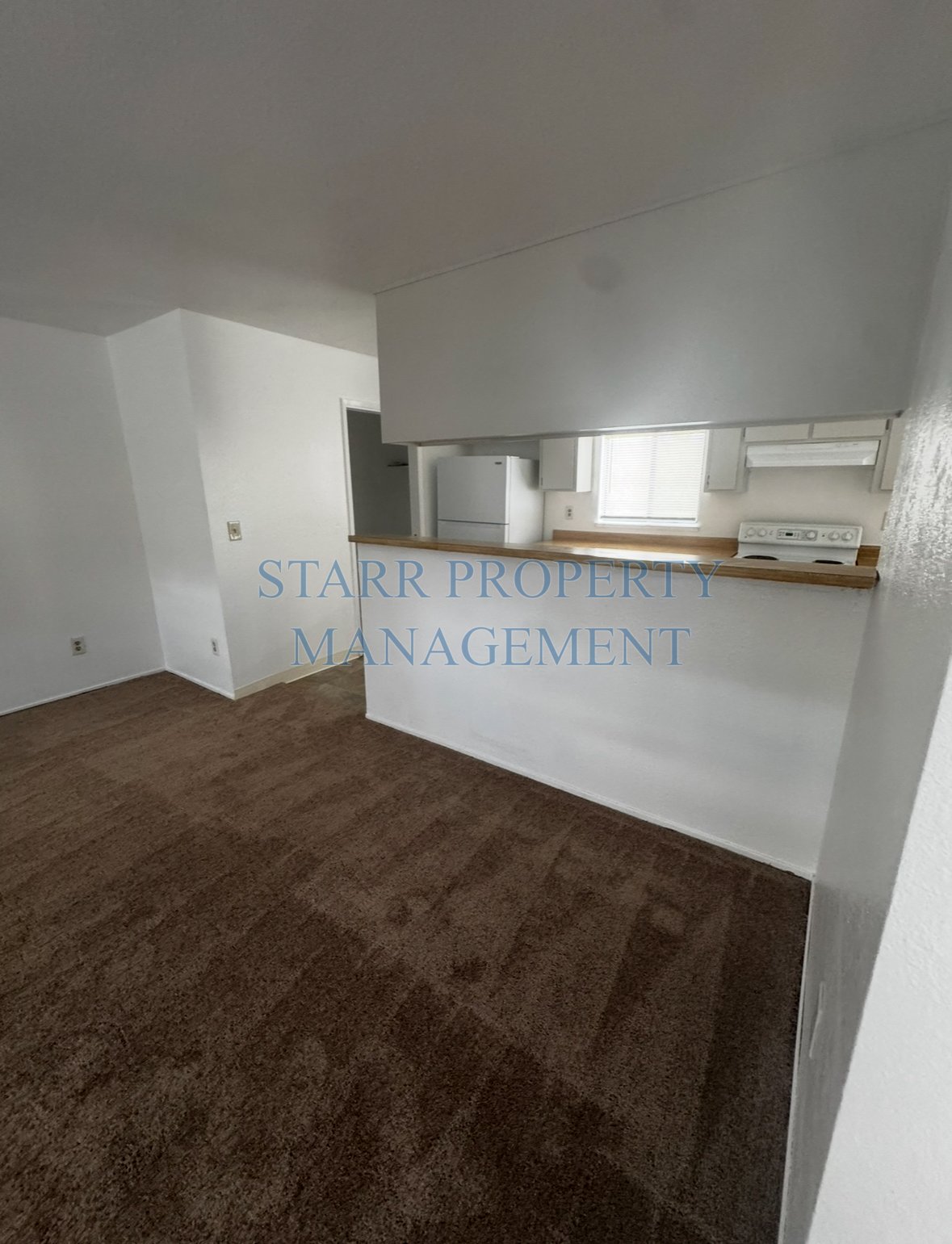 163 Adobe Court property image