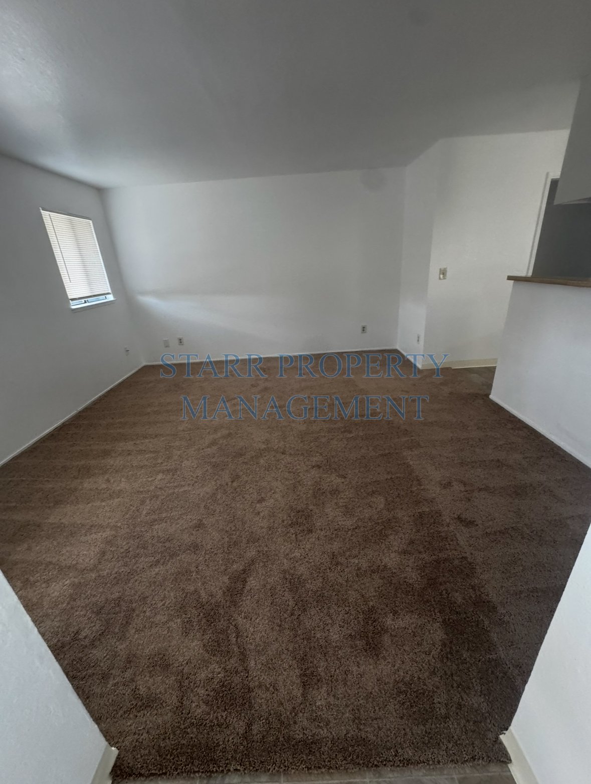 163 Adobe Court property image