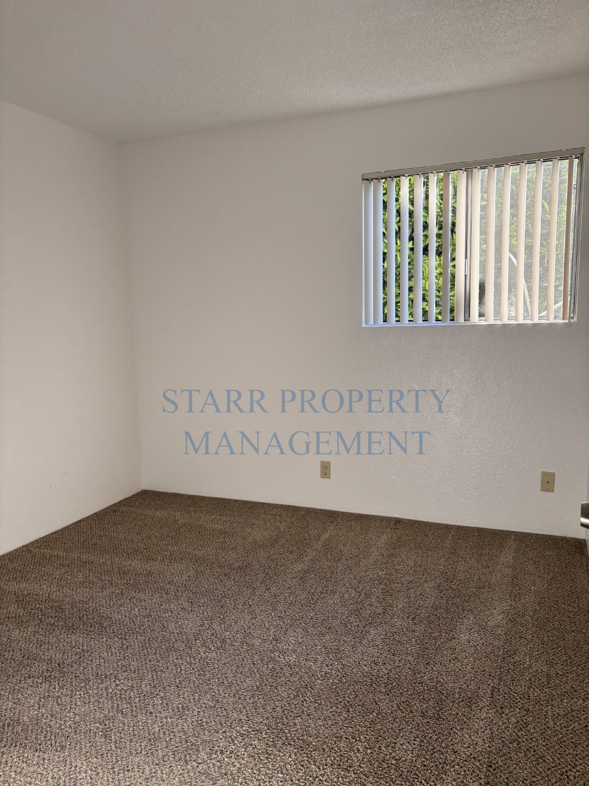 Unit 41 property image