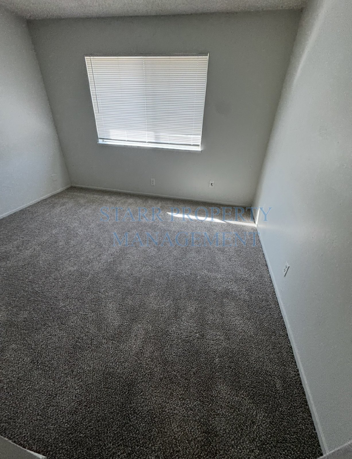 4479 La Cresta #4 property image