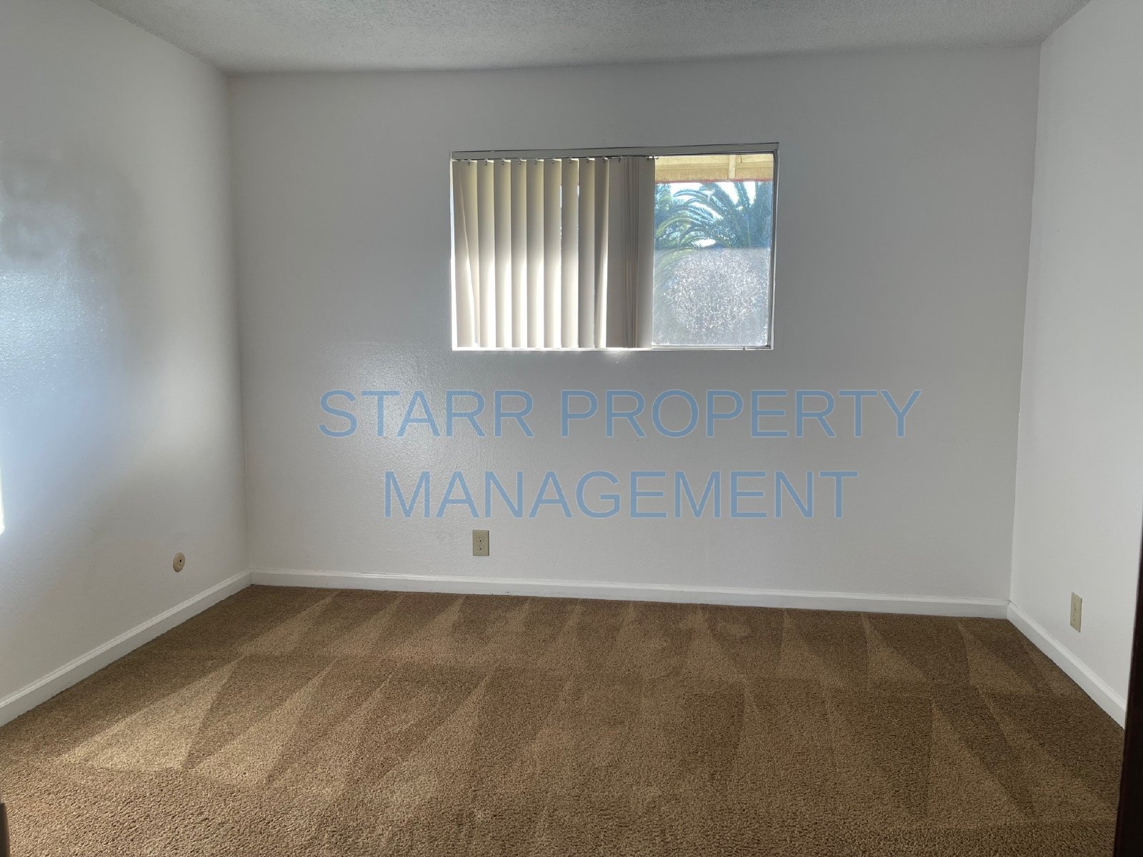 2852 Elmwood Ave Apt 59 property image